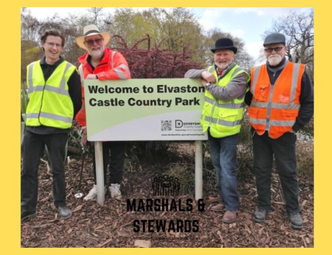 Race Stewards And Marshals